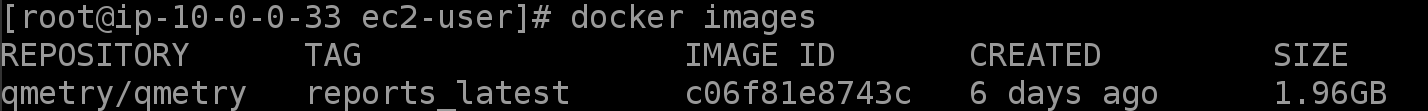 QSvr_DockerDownloaded.png