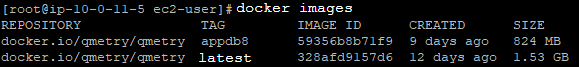 QSvr_sudo_docker_images.png