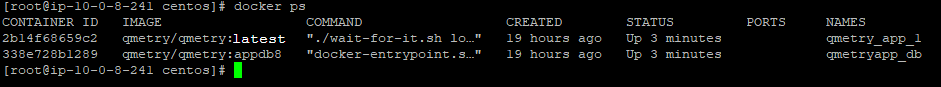 QSvr_container_IDs_and_names_.png