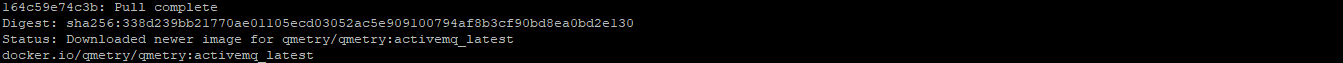 QSvr_Automation_APIFeature_Off_PullCompleteActiveMQ.png