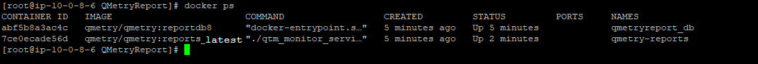 QSvr_Install_QMetry_Reports_dockeroutput.png