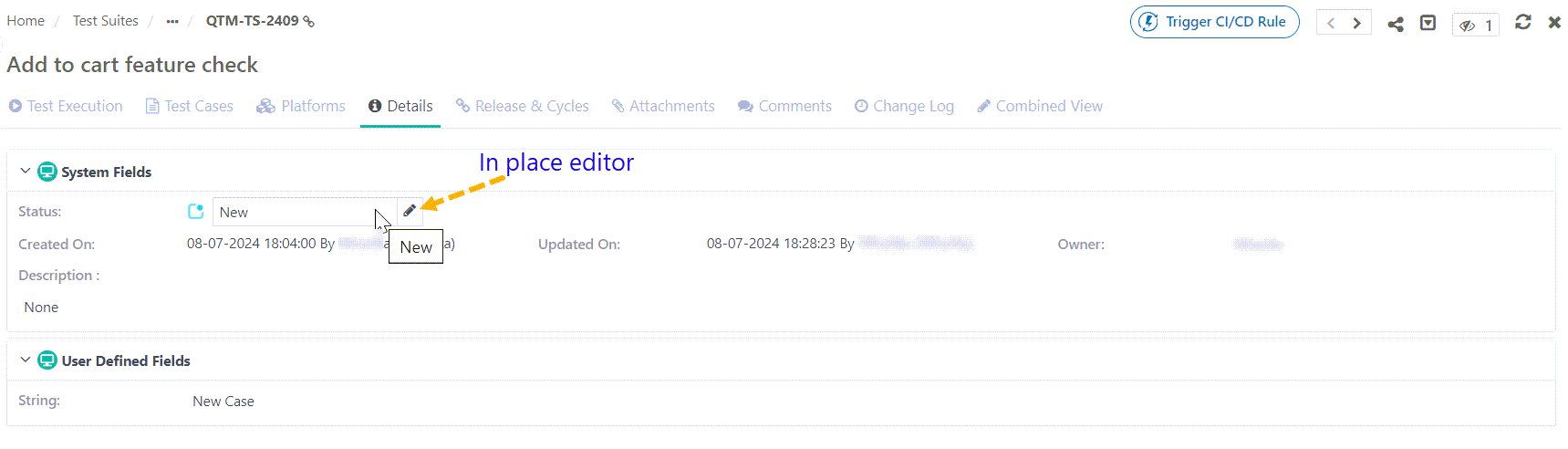 QSvr_TS_EditingTS.png