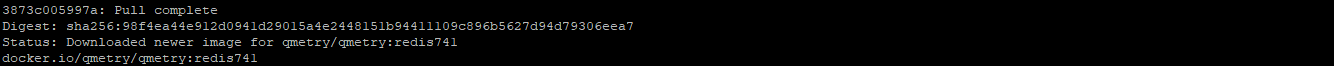 QSvr_Automation_APIFeature_Off_DownloadComplete.png