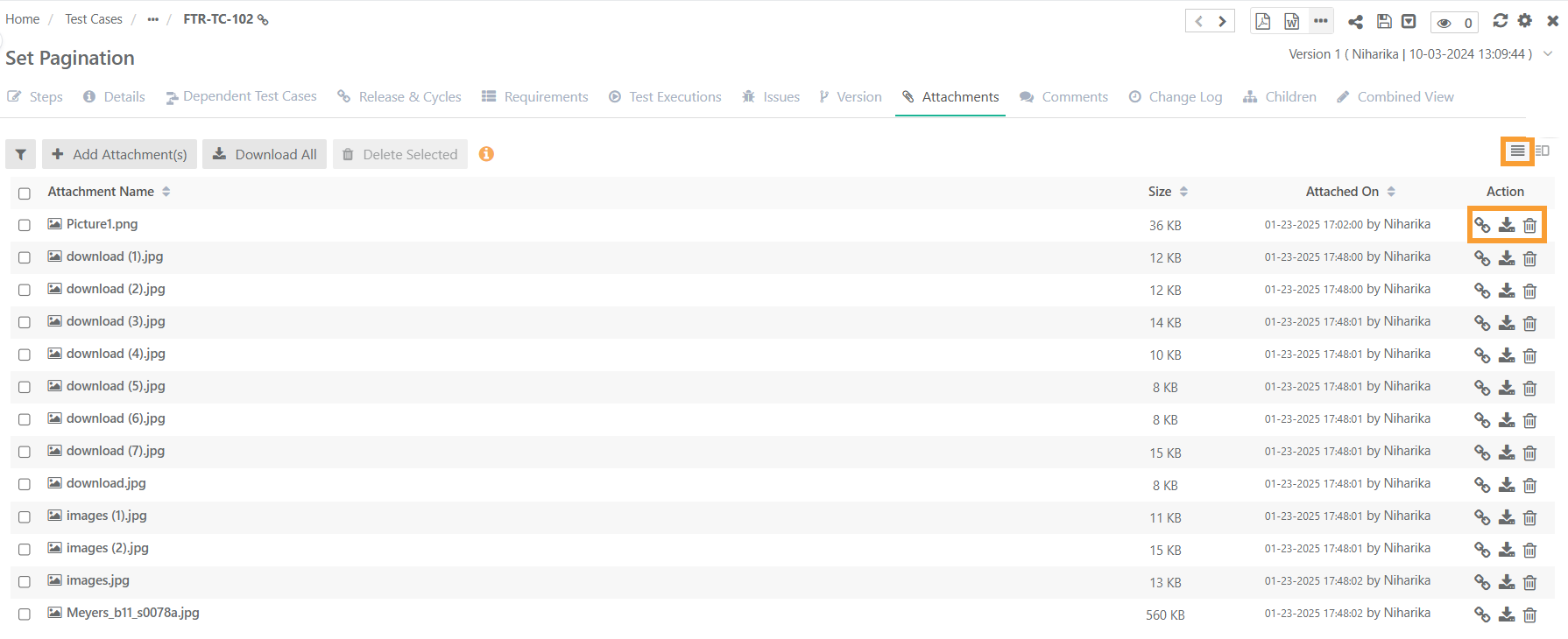 QSvr_Fea_AttachmentsListView.png