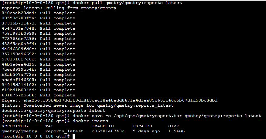 QSvr_Download_and_save_the_report_s_docker_image.png