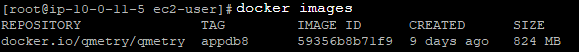 QSvr_AppandReportsOfflineInstalonL3T_RestoreDockerImg.png