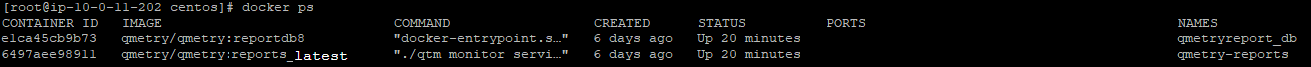 QSvr_AppandReportsOfflineInstalonL3T_dockeroutput.png